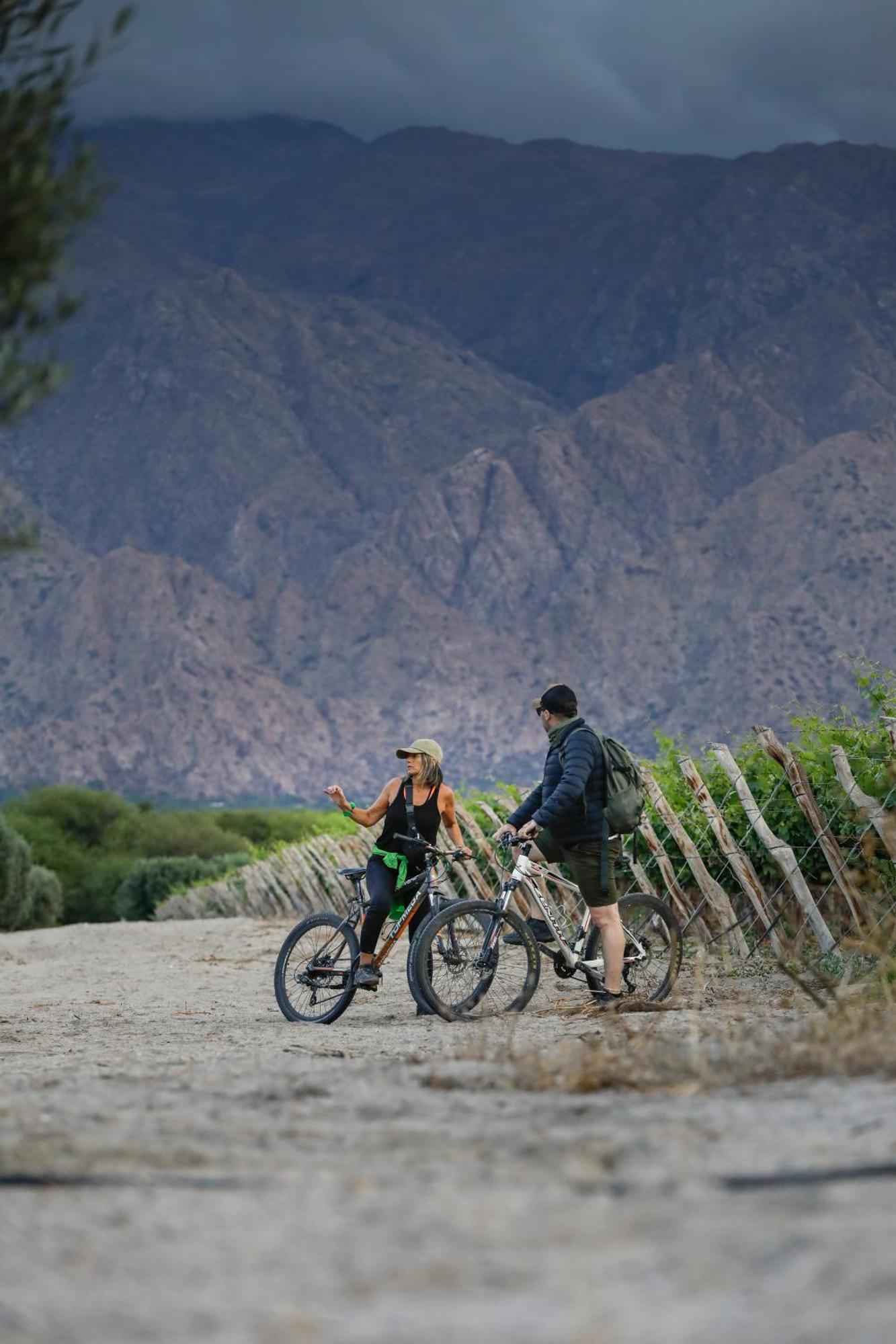 فندق غريس كافاييت كفايات المظهر الخارجي الصورة Biking in the Santa Rosa Mountains