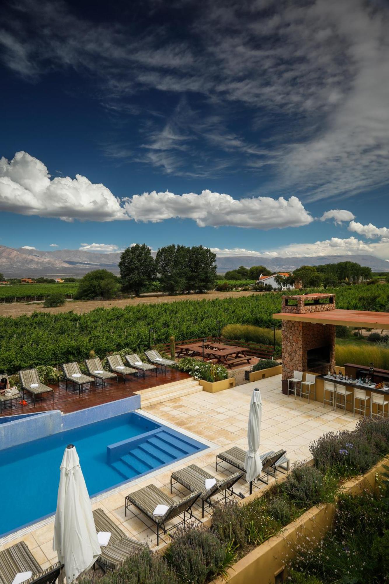 فندق غريس كافاييت كفايات المظهر الخارجي الصورة A vineyard in the Uco Valley